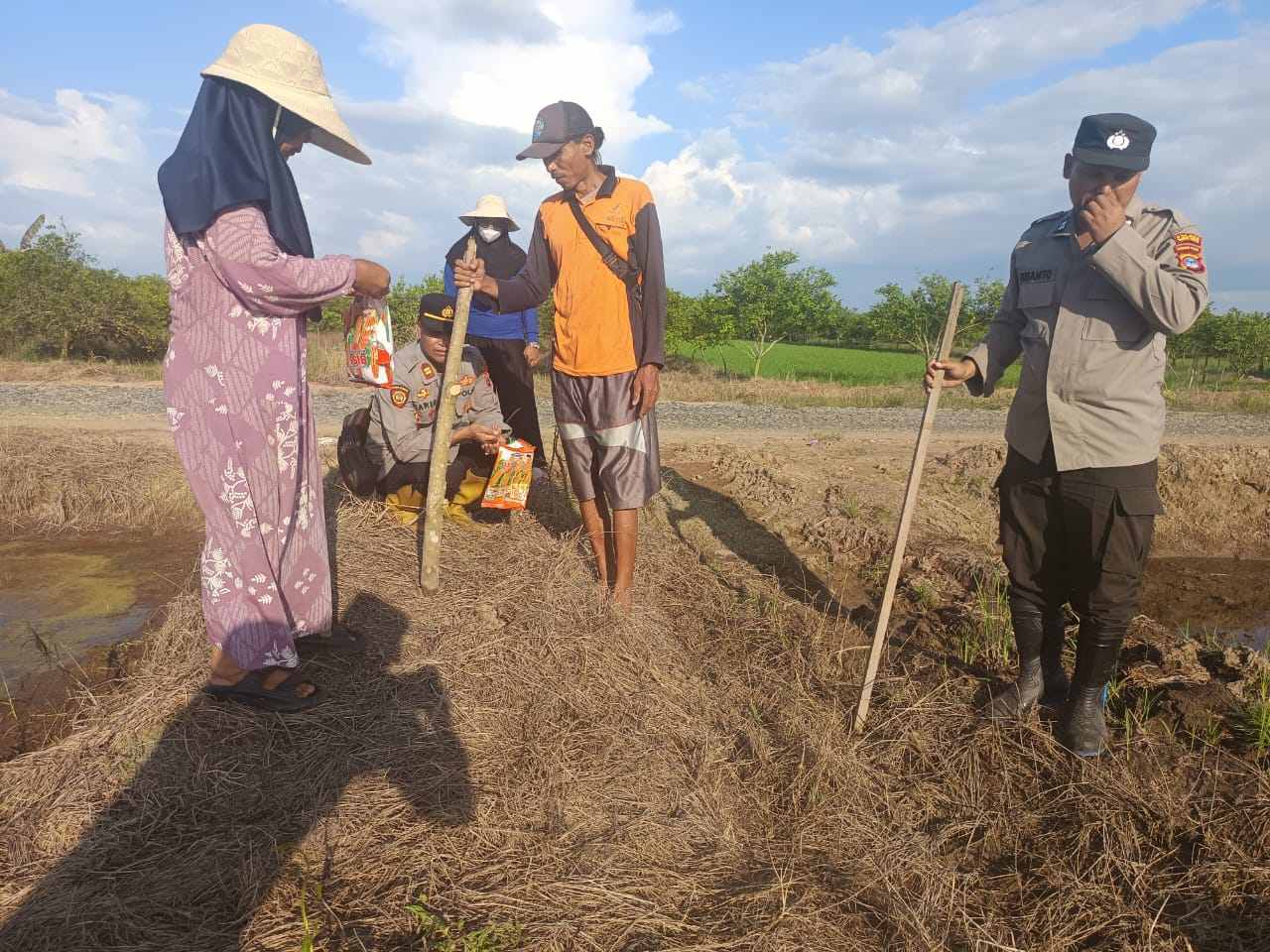 Sinergi Polsek Mandastana Polres Batola dan Petani, Tanam Jagung 1 Hektare untuk Dukung Swasembada Pangan