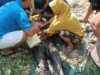 Niat Menangkap Ikan Berujung Maut, Warga Marabahan Tewas Tersengat Listrik di Sungai Keramat Bakul IMG-20260710-WA0025~2